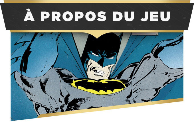 batman-dkr-supp-1