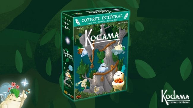 kodama_lintegral-boite_3d