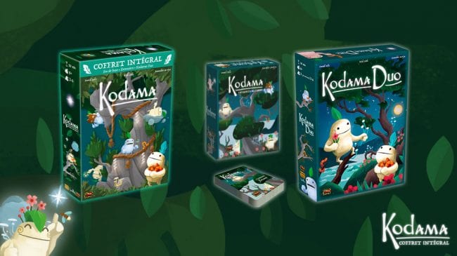 kodama_lintegral-boites3d