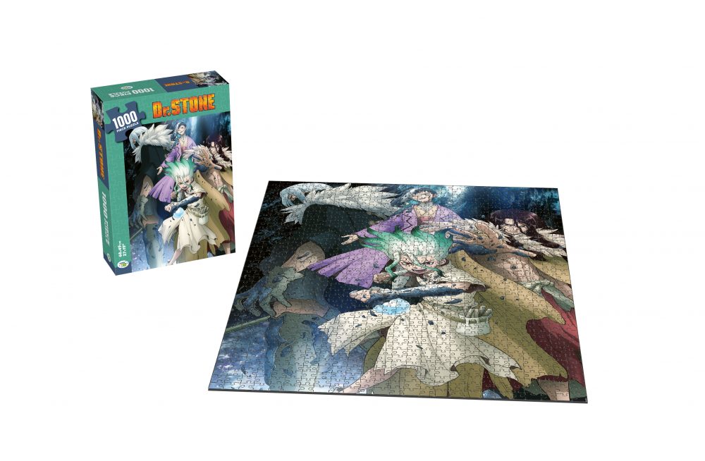 Puzzle DR. STONE – Image 6