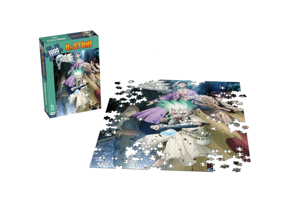 Puzzle DR. STONE – Image 5