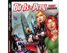 [Birds of Prey] Quelle place pour les super héroïnes dans les cultures de l’imaginaire ? (dup) (dup)